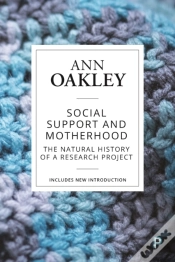 Capa do artigo Social Support And Motherhood