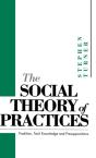 Social Theory Of Practices - Preview