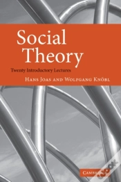 Capa do artigo Social Theory