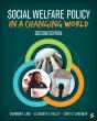 Social Welfare Policy In A Changing World - Preview