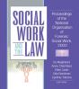 Social Work And The Law - Preview