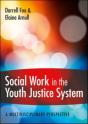 Social Work In The Youth Justice System: A Multidisciplinary Perspective - Preview
