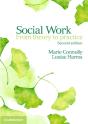 Social Work - Preview