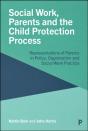 Social Work, Parents And The Child Protection Process - Preview
