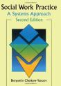 Social Work Practice - Preview