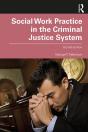 Social Work Practice In The Criminal Justice System - Preview