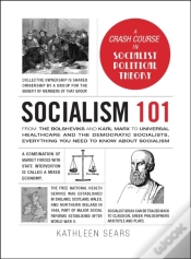 Capa do artigo Socialism 101