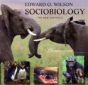 Sociobiology - Preview