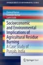 Socioeconomic And Environmental Implications Of Agricultural Residue Burning - Preview