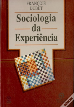 Capa do artigo Sociologia da Experiência