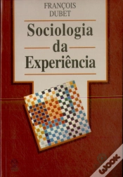 Capa do artigo Sociologia da Experiência