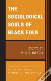Capa do artigo Sociological Souls Of Black Folk