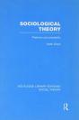 Sociological Theory (Rle Social Theory) - Preview