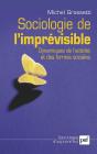 Sociologie De L'Imprévisible : Dynamiques De L'Activité Et Des Formes Sociales - Preview