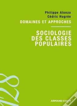 Capa do artigo Sociologie Des Classes Populaires