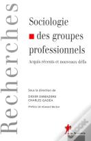 Sociologie Des Groupes Professionnels ; Acquis Récents Et Nouveaux Défis