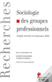 Sociologie Des Groupes Professionnels ; Acquis Récents Et Nouveaux Défis