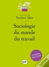Sociologie Du Monde Du Travail (2e Édition)