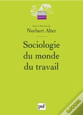 Sociologie Du Monde Du Travail