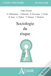 Capa do artigo Sociologie Du Risque