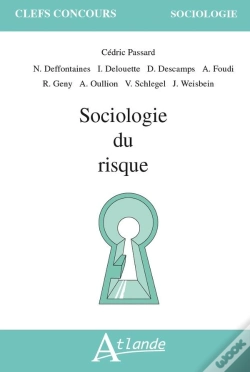 Capa do artigo Sociologie Du Risque