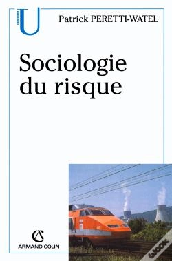 Capa do artigo Sociologie Du Risque