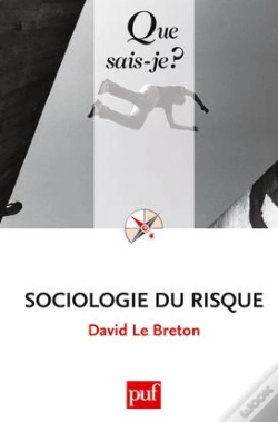 Capa do artigo Sociologie Du Risque Qsj 3016