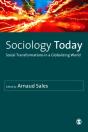 Sociology Today - Preview