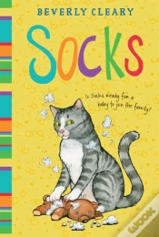 Capa do artigo Socks