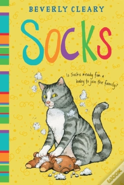Capa do artigo Socks