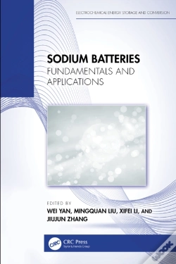 Capa do artigo Sodium Batteries