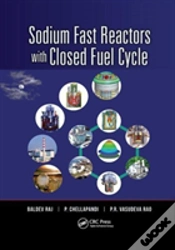 Capa do artigo Sodium Fast Reactors With Closed Fuel Cycle