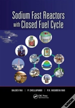 Capa do artigo Sodium Fast Reactors With Closed Fuel Cycle