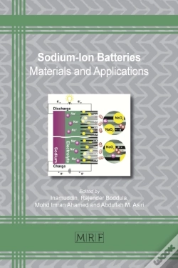 Capa do artigo Sodium-Ion Batteries