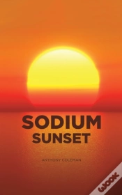Capa do artigo Sodium Sunset