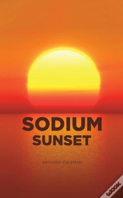 Capa do artigo Sodium Sunset