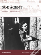 Capa do artigo Soe Agent