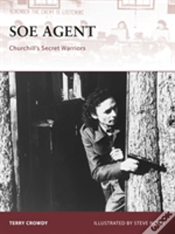 Capa do artigo Soe Agent