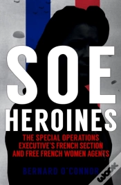 Capa do artigo Soe Heroines