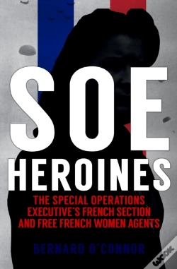 Capa do artigo Soe Heroines
