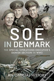 Capa do artigo Soe In Denmark