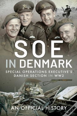 Capa do artigo Soe In Denmark