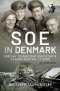 Soe In Denmark - Preview
