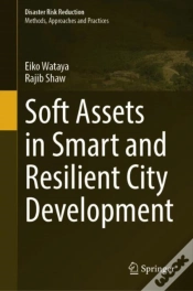 Capa do artigo Soft Assets In Smart And Resilient City Development