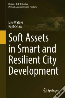 Capa do artigo Soft Assets In Smart And Resilient City Development