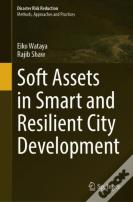 Soft Assets In Smart And Resilient City Development