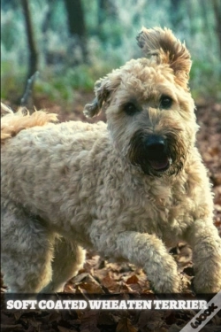 Capa do artigo Soft Coated Wheaten Terrier