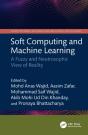 Soft Computing And Machine Learning - Preview