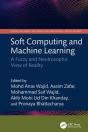 Soft Computing And Machine Learning - Preview