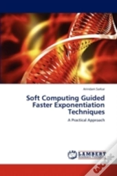 Soft Computing Guided Faster Exponentiation Techniques